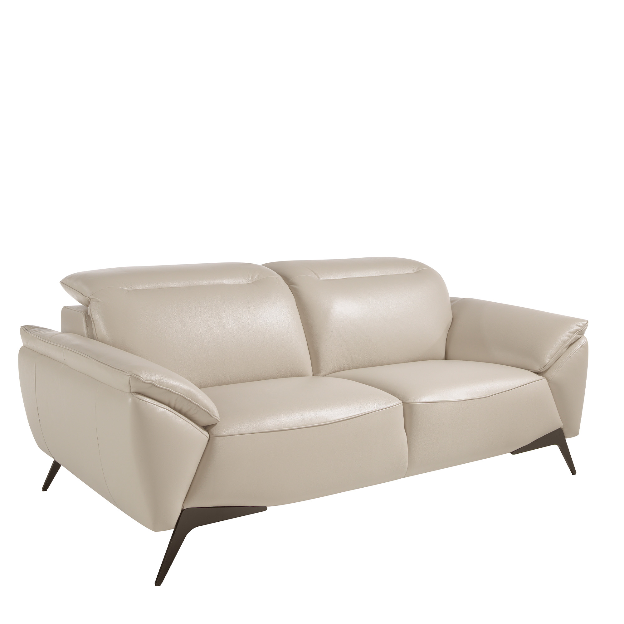 2 seater sofa upholstered in taupe grey leather with black steel legs